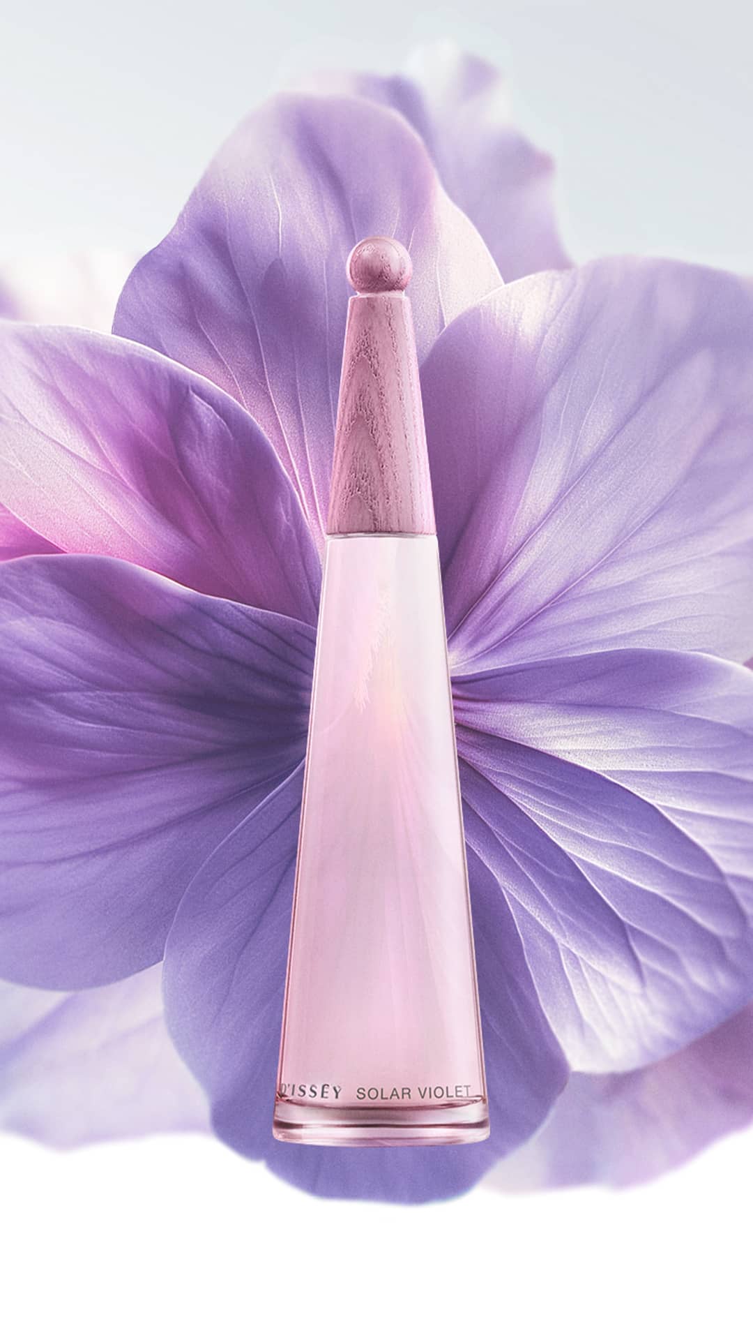 Summer 2024 - Solar Violet